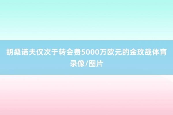 胡桑诺夫仅次于转会费5000万欧元的金玟哉体育录像/图片