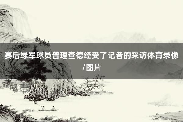 赛后绿军球员普理查德经受了记者的采访体育录像/图片