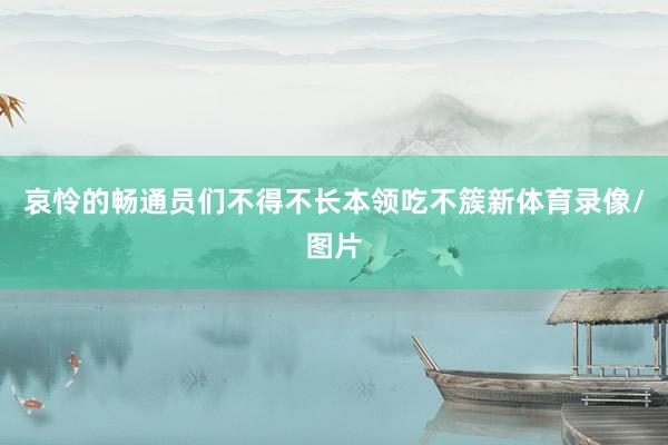 哀怜的畅通员们不得不长本领吃不簇新体育录像/图片