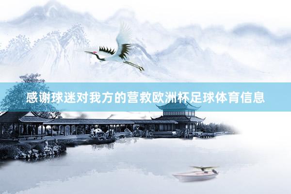 感谢球迷对我方的营救欧洲杯足球体育信息