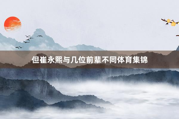 但崔永熙与几位前辈不同体育集锦