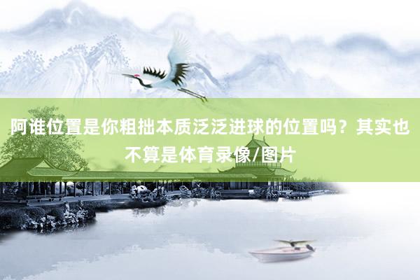 阿谁位置是你粗拙本质泛泛进球的位置吗？其实也不算是体育录像/图片