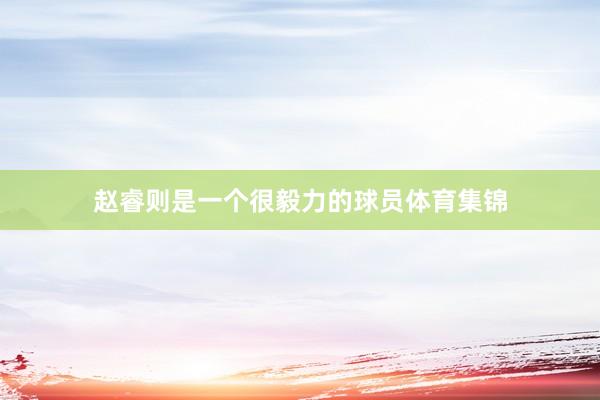 赵睿则是一个很毅力的球员体育集锦