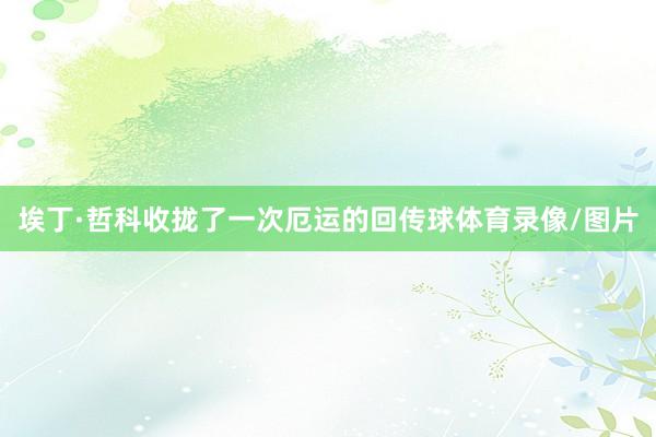 埃丁·哲科收拢了一次厄运的回传球体育录像/图片