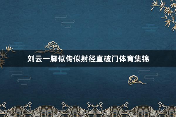 刘云一脚似传似射径直破门体育集锦