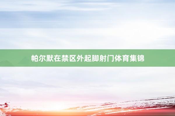 帕尔默在禁区外起脚射门体育集锦