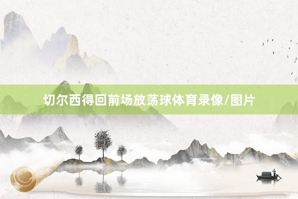 切尔西得回前场放荡球体育录像/图片