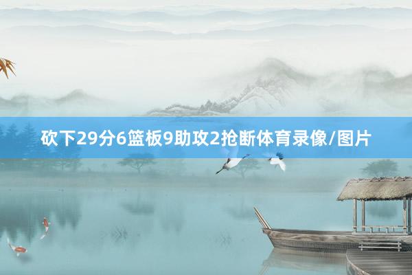 砍下29分6篮板9助攻2抢断体育录像/图片