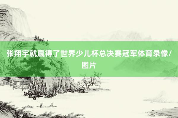 张翔宇就赢得了世界少儿杯总决赛冠军体育录像/图片