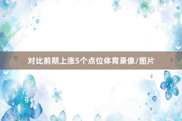 对比前期上涨5个点位体育录像/图片