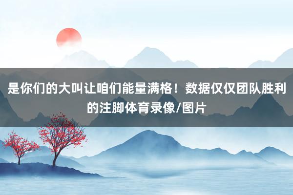 是你们的大叫让咱们能量满格！数据仅仅团队胜利的注脚体育录像/图片