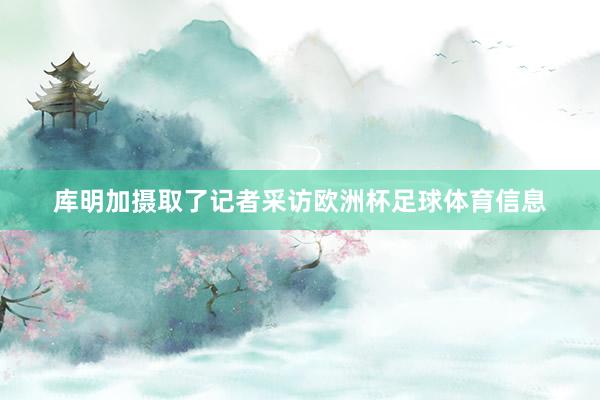 库明加摄取了记者采访欧洲杯足球体育信息
