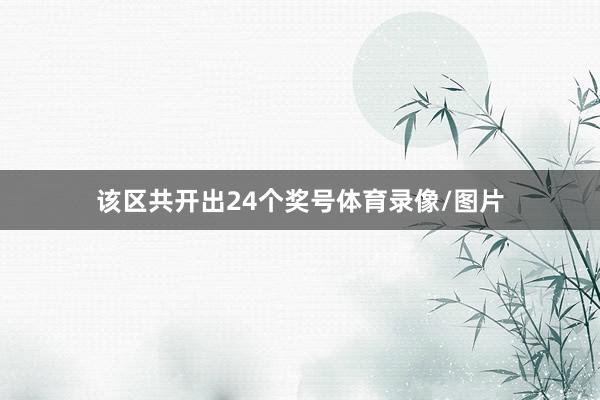 该区共开出24个奖号体育录像/图片