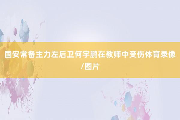 国安常备主力左后卫何宇鹏在教师中受伤体育录像/图片