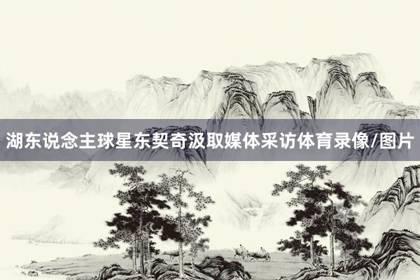 湖东说念主球星东契奇汲取媒体采访体育录像/图片