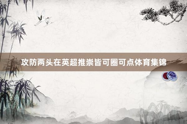 攻防两头在英超推崇皆可圈可点体育集锦