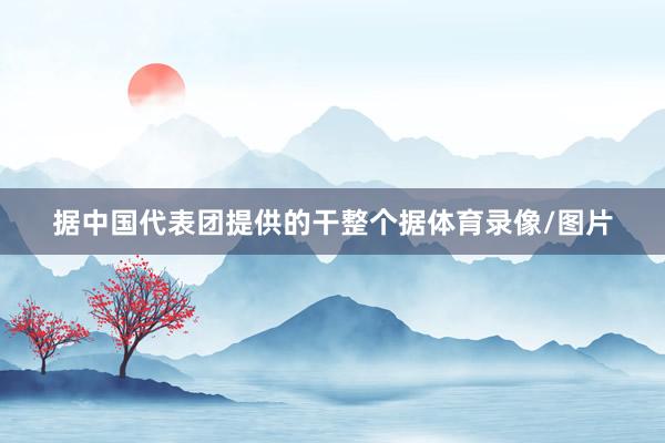 据中国代表团提供的干整个据体育录像/图片