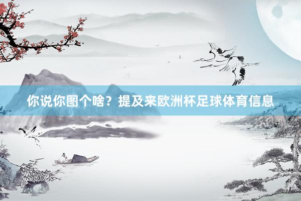 你说你图个啥？提及来欧洲杯足球体育信息