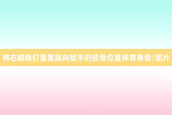 将右脚鞋钉重重踹向敌手的胫骨位置体育录像/图片
