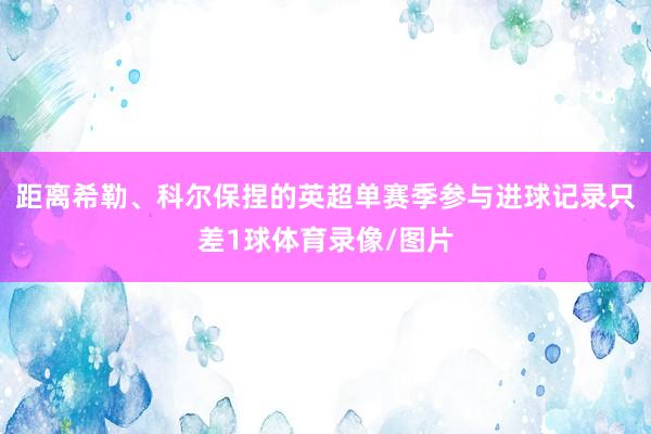 距离希勒、科尔保捏的英超单赛季参与进球记录只差1球体育录像/图片