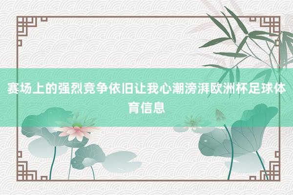 赛场上的强烈竞争依旧让我心潮滂湃欧洲杯足球体育信息