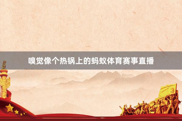嗅觉像个热锅上的蚂蚁体育赛事直播