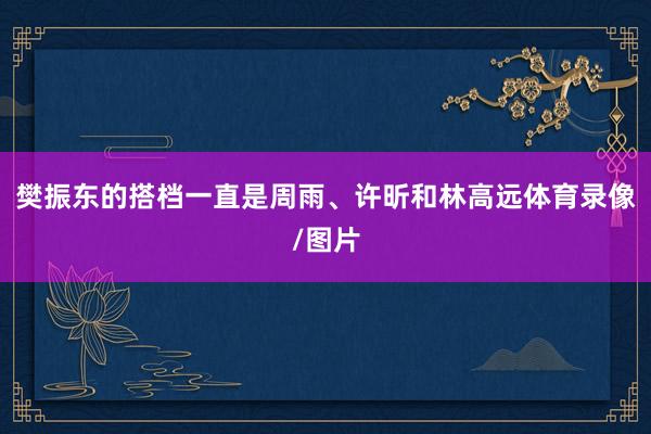 樊振东的搭档一直是周雨、许昕和林高远体育录像/图片