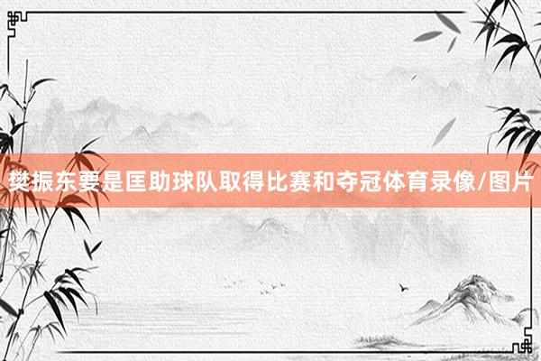 樊振东要是匡助球队取得比赛和夺冠体育录像/图片