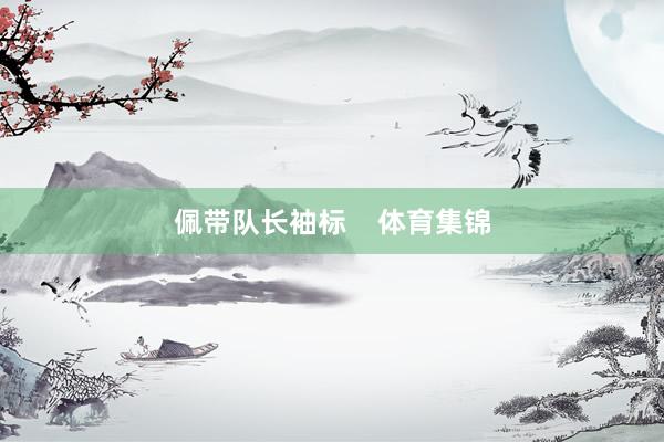 佩带队长袖标    体育集锦