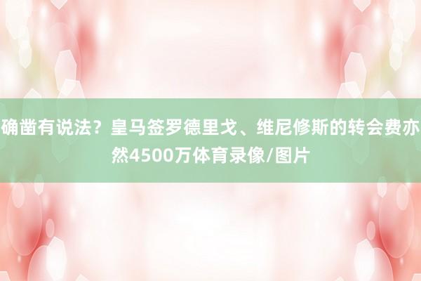 确凿有说法？皇马签罗德里戈、维尼修斯的转会费亦然4500万体育录像/图片