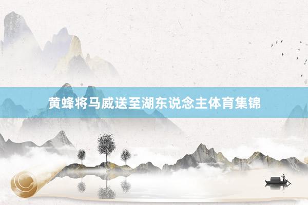 黄蜂将马威送至湖东说念主体育集锦