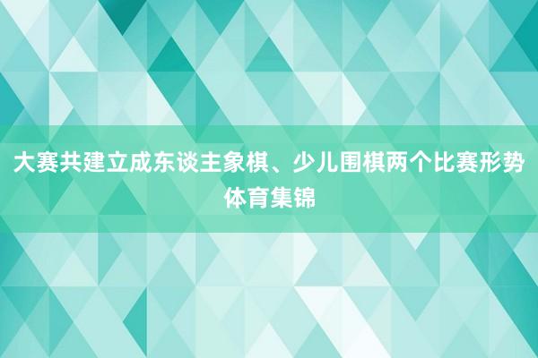 大赛共建立成东谈主象棋、少儿围棋两个比赛形势体育集锦