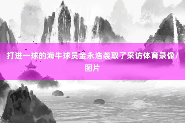 打进一球的海牛球员金永浩袭取了采访体育录像/图片