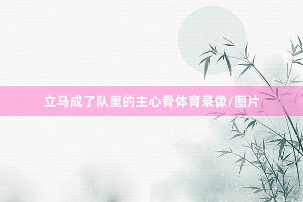 立马成了队里的主心骨体育录像/图片