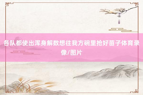各队都使出浑身解数想往我方碗里抢好苗子体育录像/图片