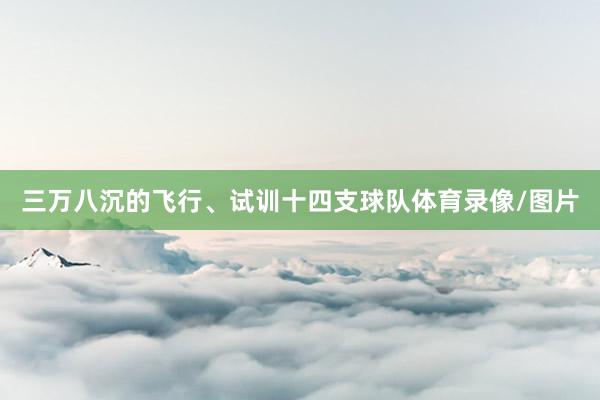 三万八沉的飞行、试训十四支球队体育录像/图片