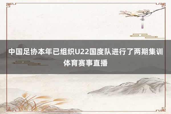 中国足协本年已组织U22国度队进行了两期集训体育赛事直播
