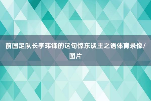 前国足队长李玮锋的这句惊东谈主之语体育录像/图片