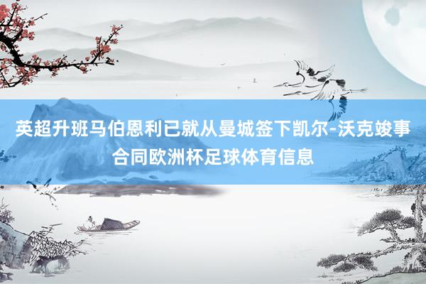 英超升班马伯恩利已就从曼城签下凯尔-沃克竣事合同欧洲杯足球体育信息