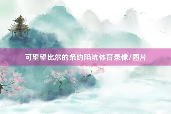 可望望比尔的条约陷坑体育录像/图片