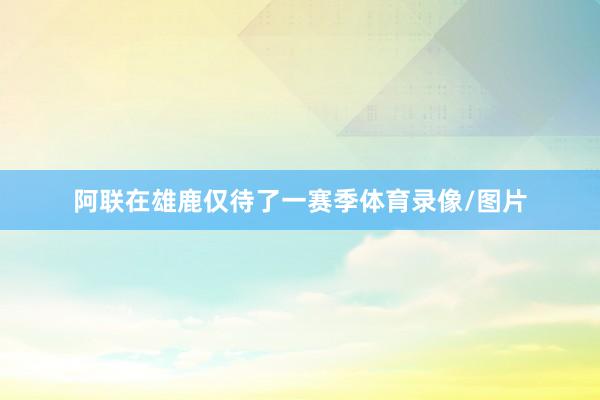 阿联在雄鹿仅待了一赛季体育录像/图片