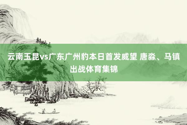 云南玉昆vs广东广州豹本日首发威望 唐淼、马镇出战体育集锦