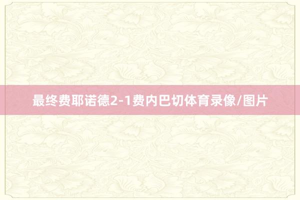 最终费耶诺德2-1费内巴切体育录像/图片