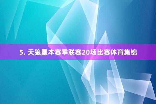 5. 天狼星本赛季联赛20场比赛体育集锦