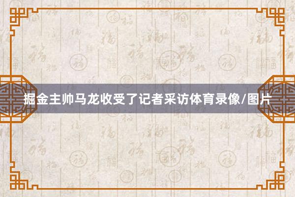 掘金主帅马龙收受了记者采访体育录像/图片