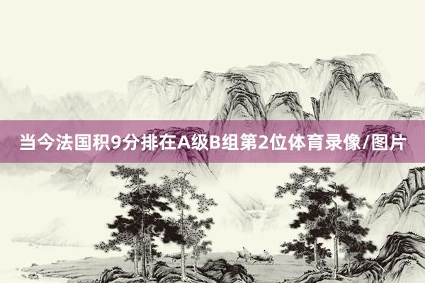 当今法国积9分排在A级B组第2位体育录像/图片