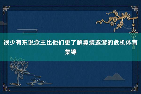 很少有东说念主比他们更了解翼装遨游的危机体育集锦