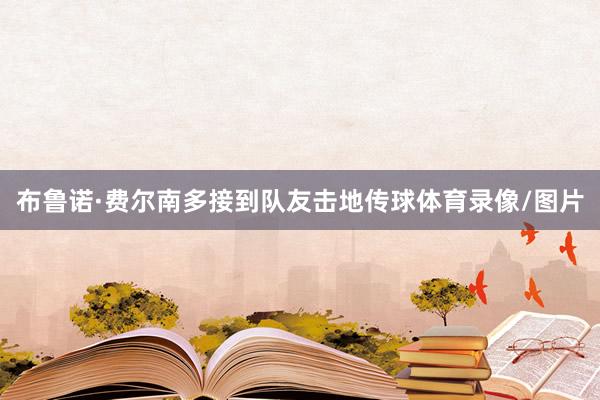 布鲁诺·费尔南多接到队友击地传球体育录像/图片