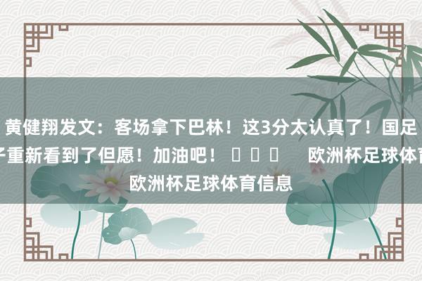 黄健翔发文：客场拿下巴林！这3分太认真了！国足一下子重新看到了但愿！加油吧！ ​​​    欧洲杯足球体育信息