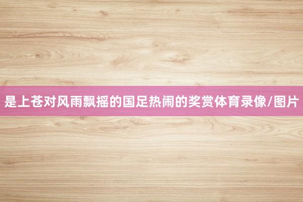 是上苍对风雨飘摇的国足热闹的奖赏体育录像/图片